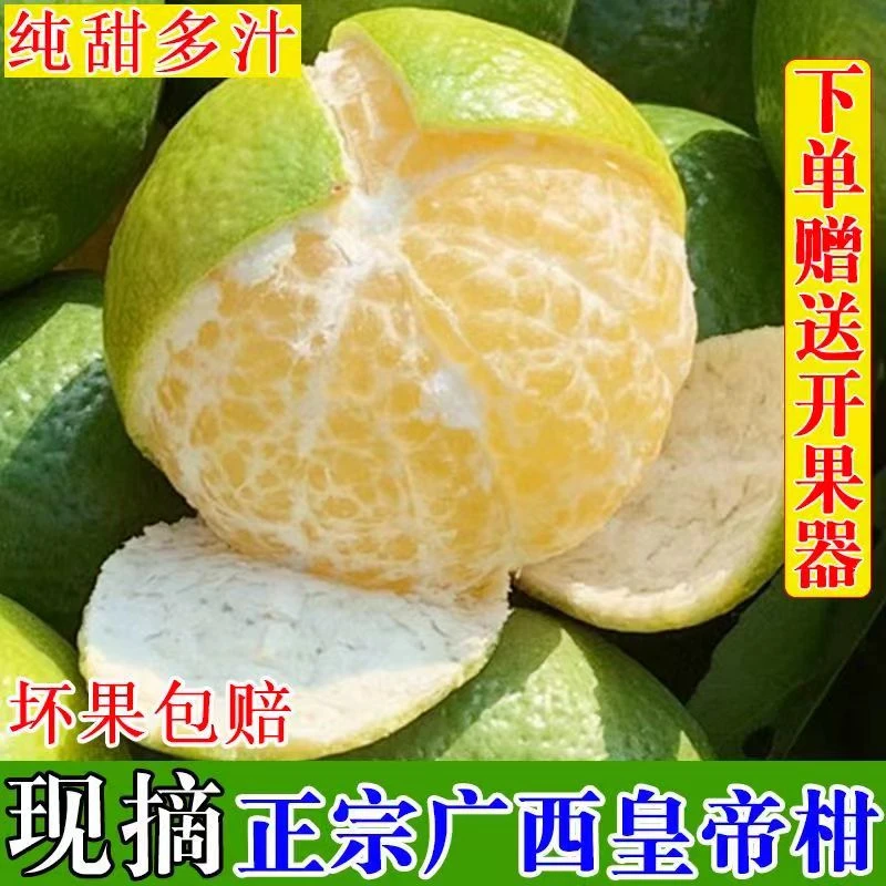 广西老树皇帝柑新鲜水果现发橘子当季多汁水果2/3/5/9斤整箱包邮