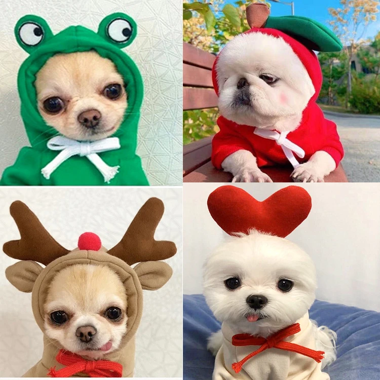 绿青蛙宠物卫衣潮牌泰迪比熊博美柯基泰迪贵宾猫咪小型犬狗狗衣服