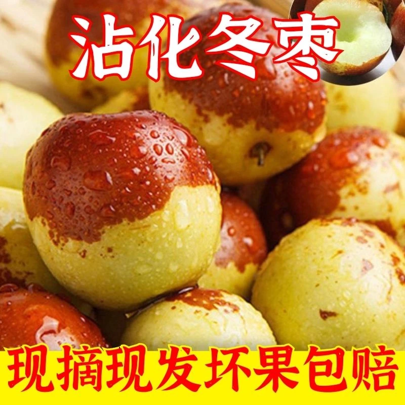 山东沾化冬枣现摘脆枣优质甜青枣应季新鲜水果冰糖枣肉厚爽口