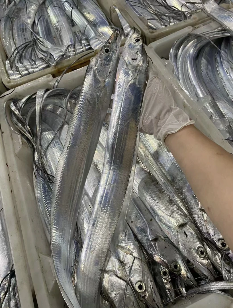 带鱼野生带鱼深海钓口带鱼香煎大带鱼