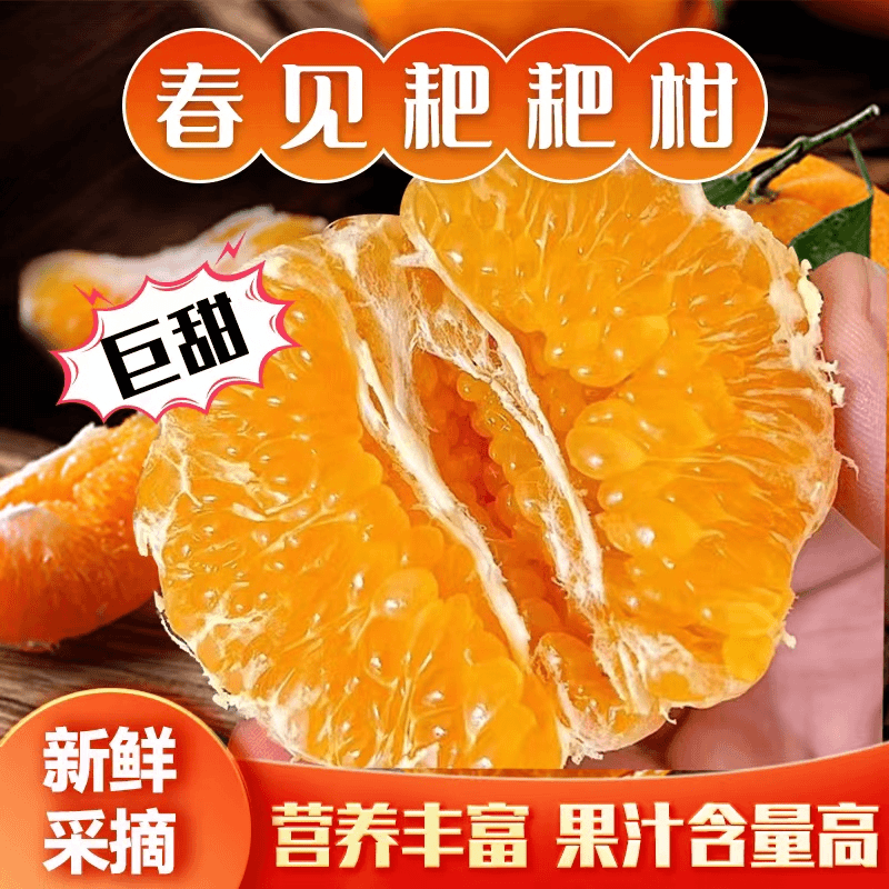 【超低价】正宗四川春见耙耙柑1/5/9斤新鲜现摘粑粑柑新鲜水果丑橘