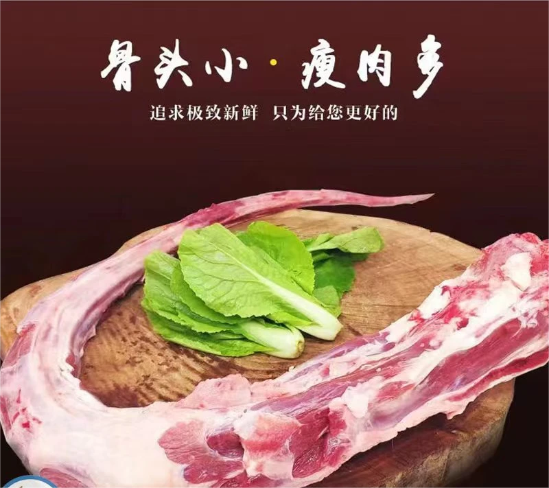 新鲜牛尾4斤去头去尾国产原切 源头直供煲汤红烧清炖牛肉牛排