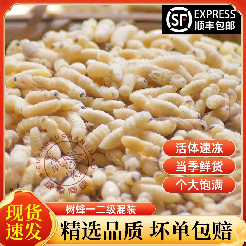蜂蛹树蜂一二级新鲜蜂蛹黄脚蜂七里蜂马蜂蜂蛹速冻可食用生鲜昆虫