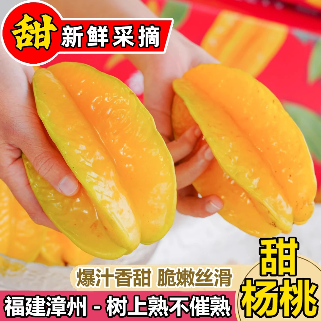 【产地直发】福建漳州树上熟甜杨桃新鲜时令水果现摘现发