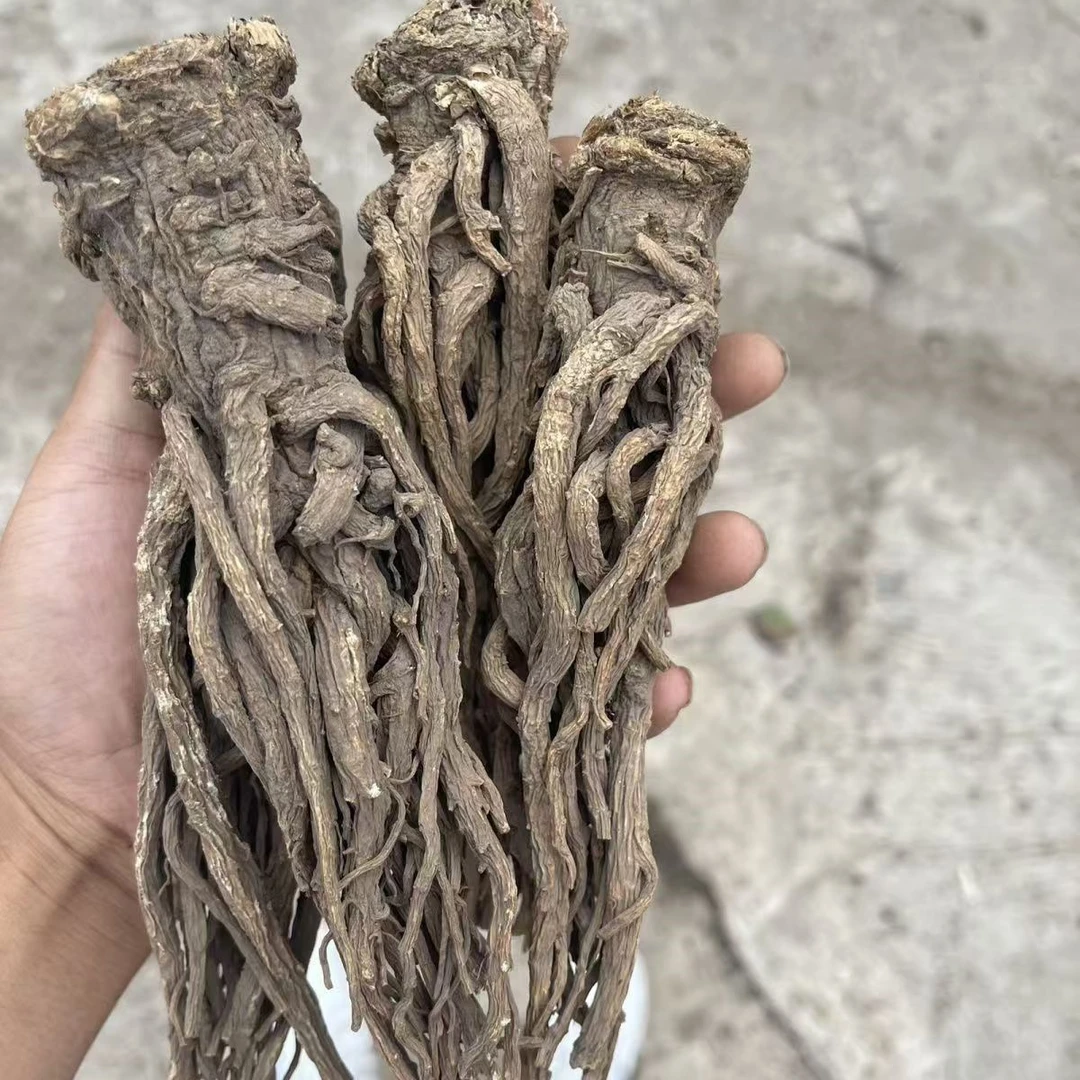 【秦巴百草】村书记助农 秦岭深山野生当归个100g