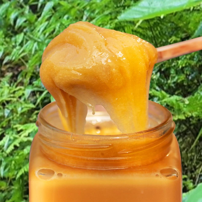 【秦巴百草】村书记助农 秦岭深山土蜂蜜百花蜜养颜结晶蜜500g