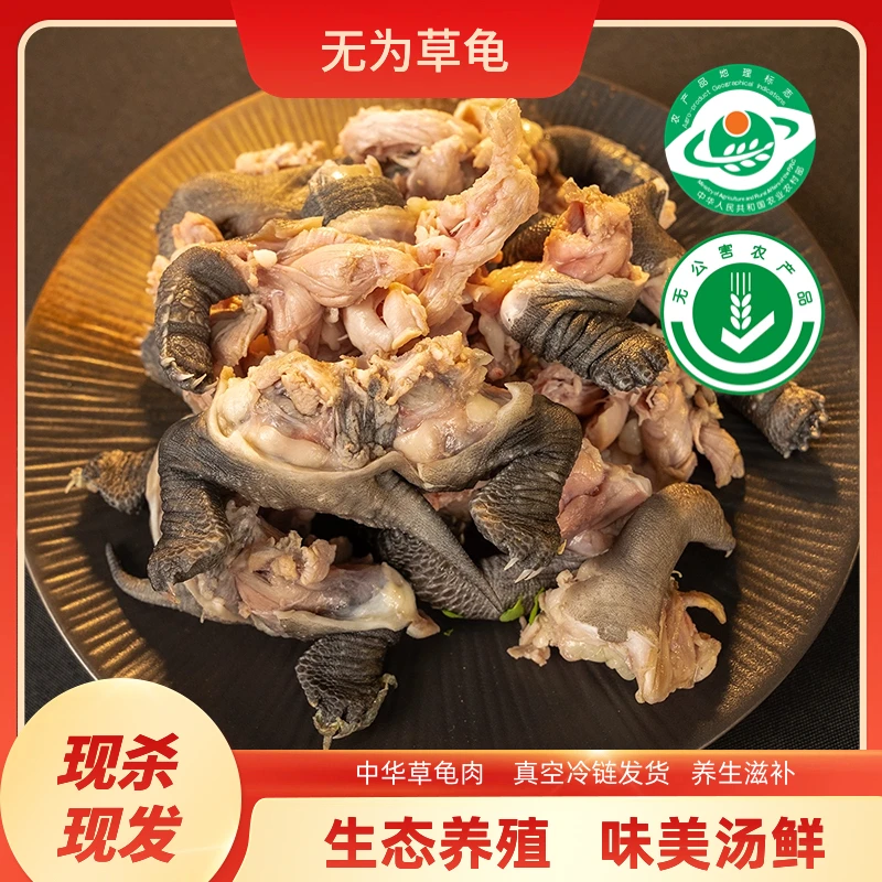 【乌龟兄弟专属】2000g新鲜宰杀草龟肉 养生滋补 味美汤鲜
