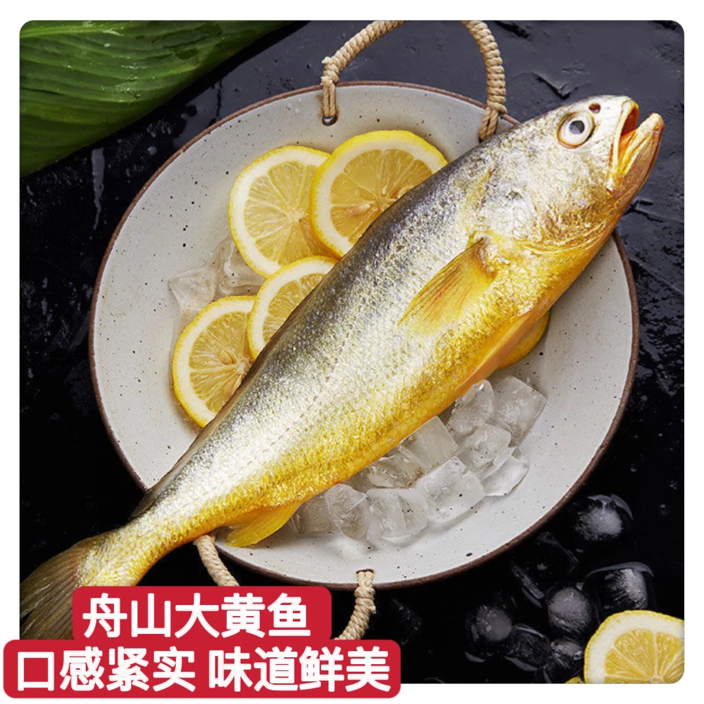 舟山大黄鱼深海黄鱼4-6两半野生黄鱼5条鲜嫩可烹煮舟山鱼冷冻鲜美