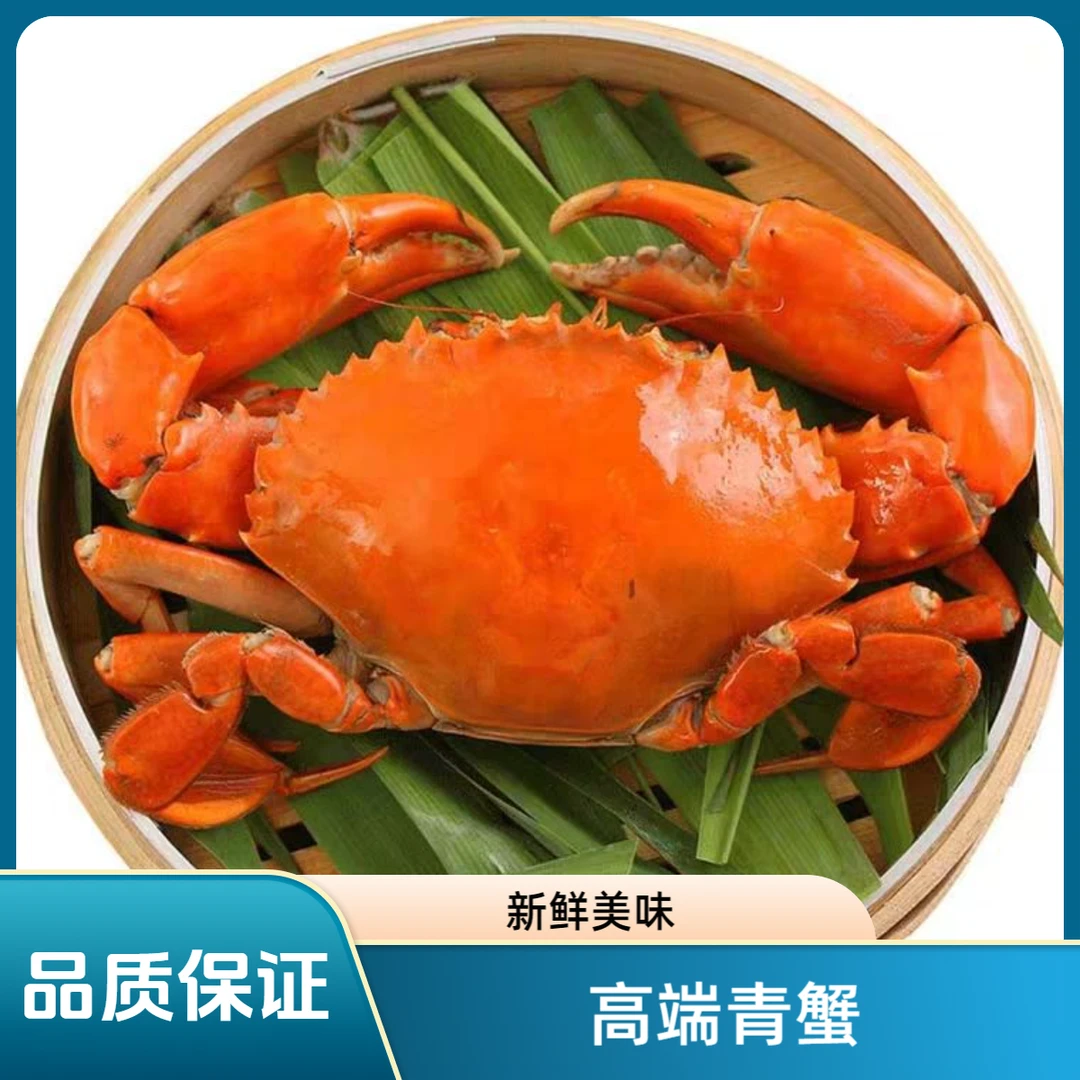 （小礼推荐）福建漳州海捕青蟹膏蟹肉蟹(勿放冰箱)500g-2000g