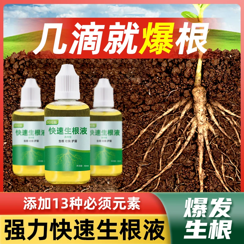 贝可施快速生根液粉剂移栽扦插生根水营养液植物通用强力多肉壮苗