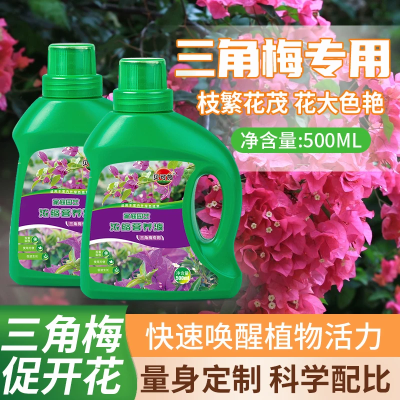 贝可施三角梅专用营养液促花爆花三角梅开花专用肥营养液养护肥料