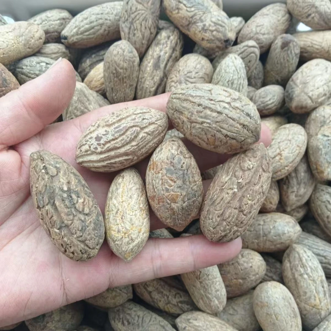 千眼菩提精品原果小果，手工制作，成品发货！