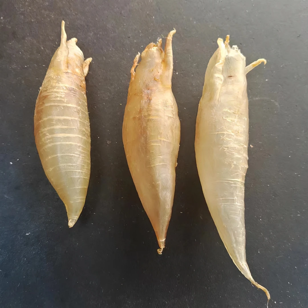 北海气筒深海勉鱼鱼胶花胶海鲜干货月子煲汤食材添加