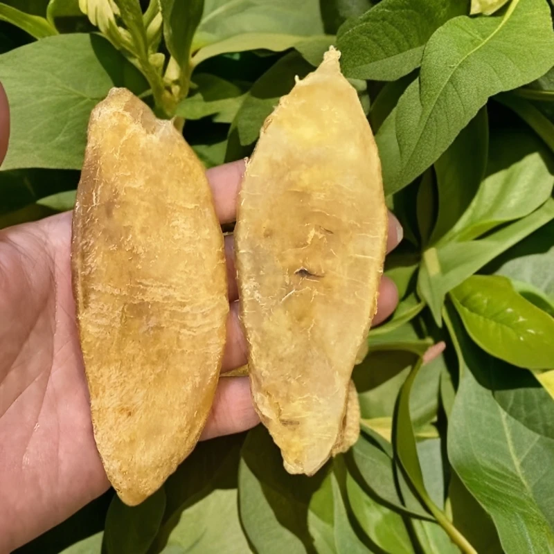 渔民货 老赤嘴胶月子胶煲汤鲜滋补  滋补鱼胶食用添加