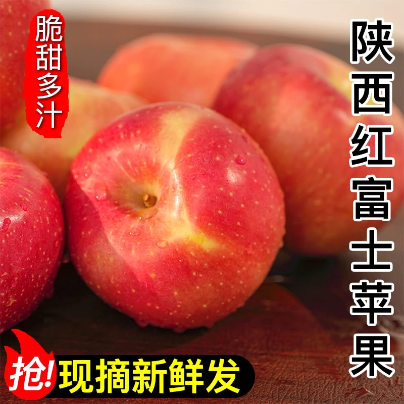 陕西红富士苹果当季应季脆甜多汁时令可口大果新鲜水果坏果包赔