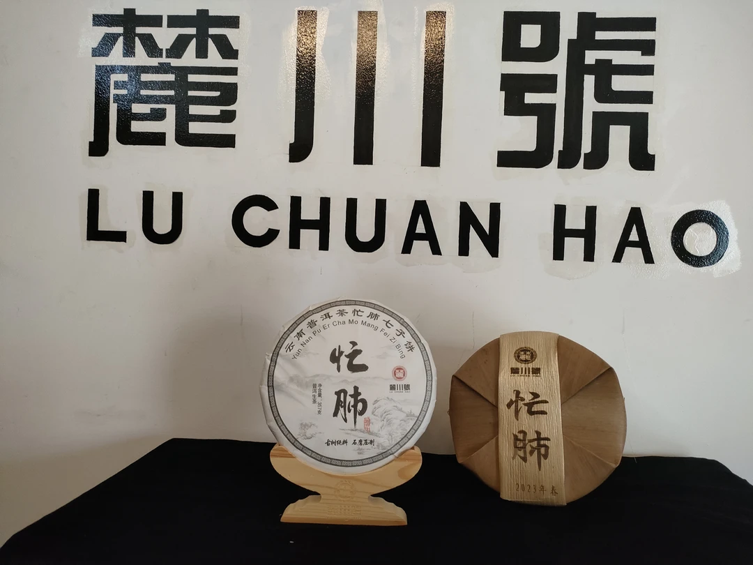 麓川號 2023年 春茶 忙肺核心区 饼茶