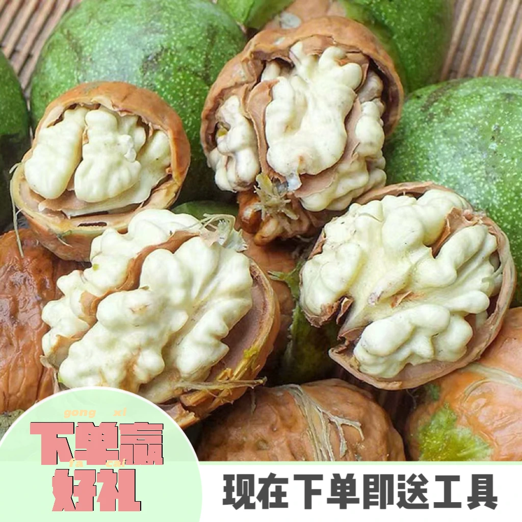 (顺丰发货)四川大凉山2025新鲜湿核桃去青皮嫩黑桃孕妇生核桃整箱