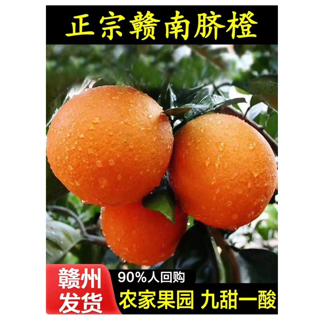 赣南脐橙江西橙子  赣南脐橙  好吃 产地直发5斤10斤20斤纸箱装