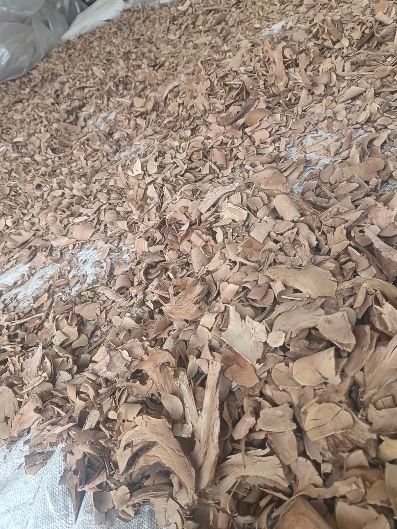 贵州特产野生刺梨根刺藜子根野梨树根中药人刺梨桩刺梨子罗勒种子