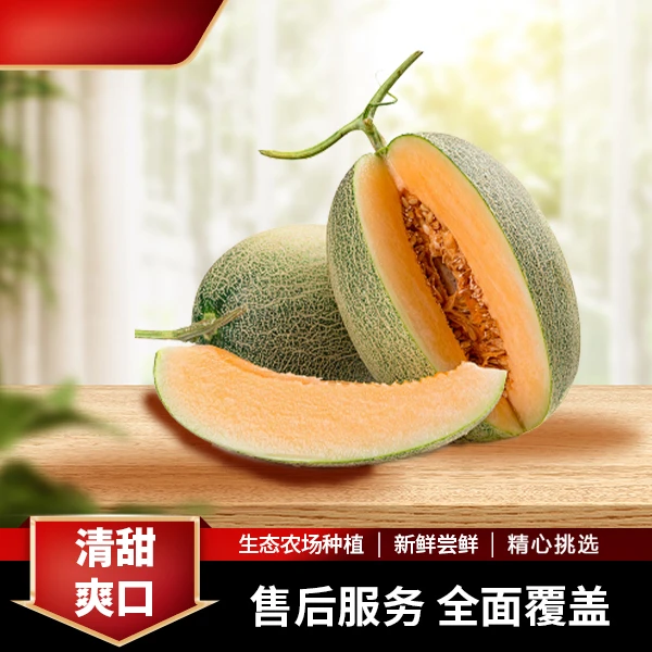 A西州蜜25号哈密瓜 两颗福利 寿光直发 口感脆甜爽口多汁蜜甜新鲜