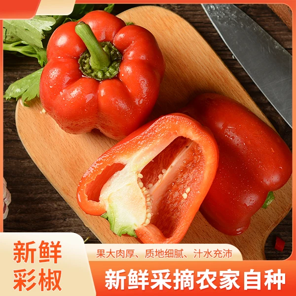 爽口 彩椒 山东寿光直发美味鲜嫩  新鲜采摘