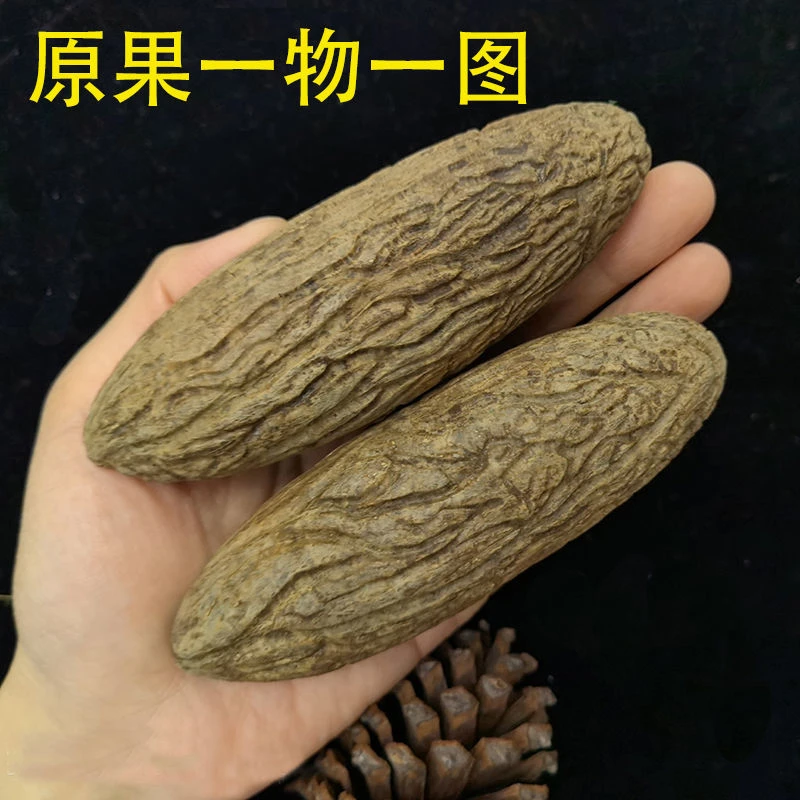 精选千眼菩提果大果王