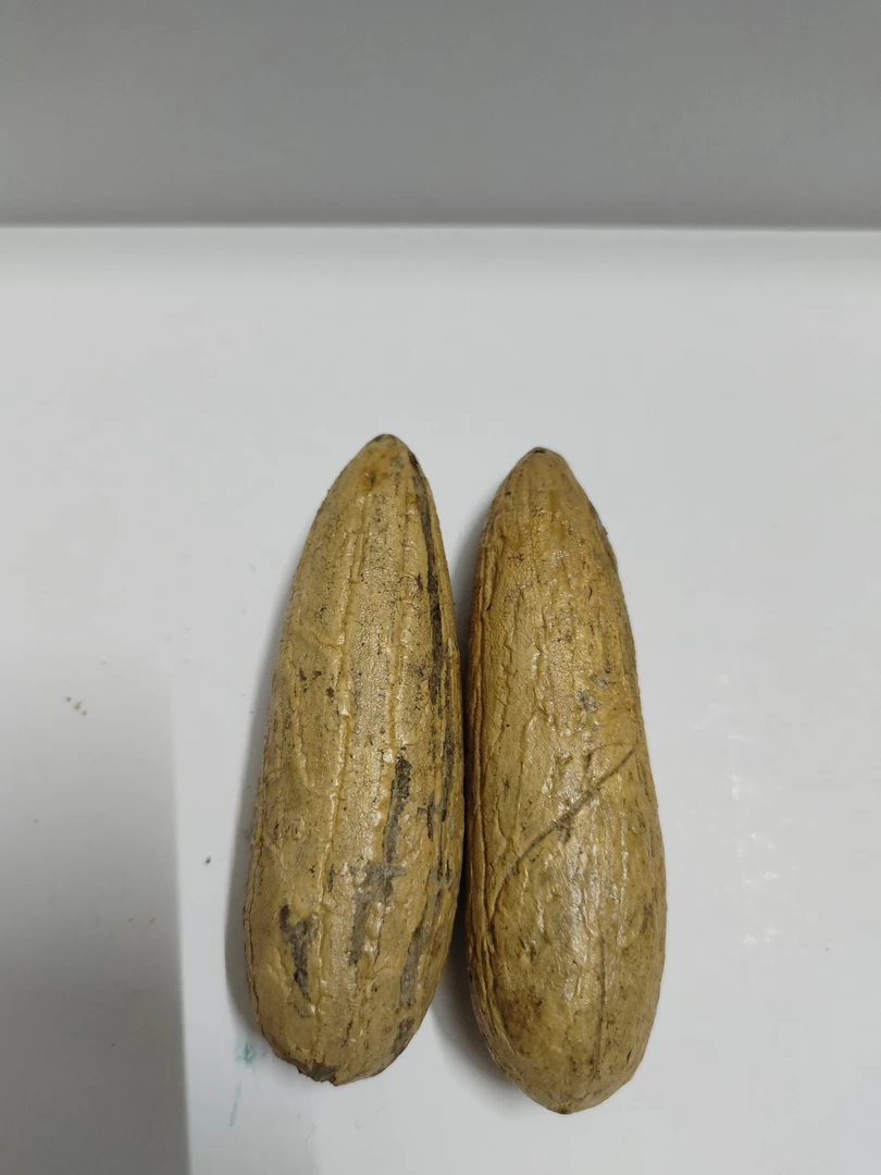 精品千眼菩提大果王老果，原皮原果原籽手把件【开果不退】