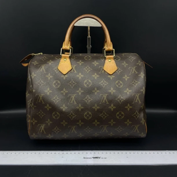 95新 LouisVuitton/路易威登 Lv枕头包手提包/12425