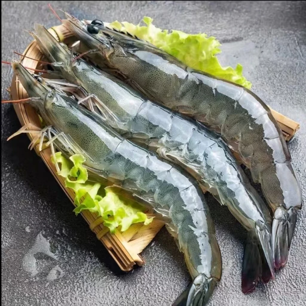 20.30规格大大号海虾一斤10到15只 到手5斤50只到75只 [快照]
