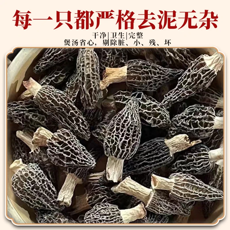 川西高原羊肚菌精品中号4-6公分2024新鲜干货肉厚煲汤鲜美