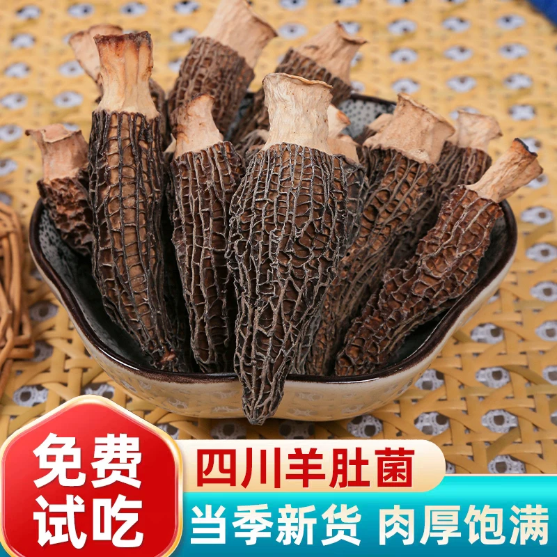 高山羊肚菌六妹头茬煲汤美味