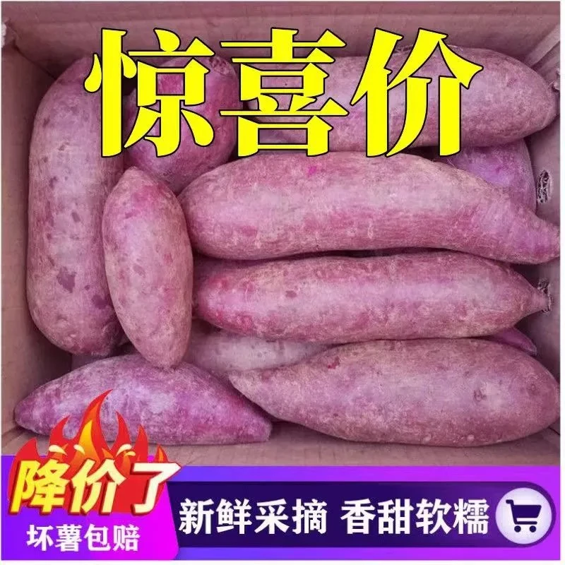 【粉糯香甜】新鲜紫罗兰紫薯番薯1/5/10斤蜜薯红薯粗粮代餐沙地紫