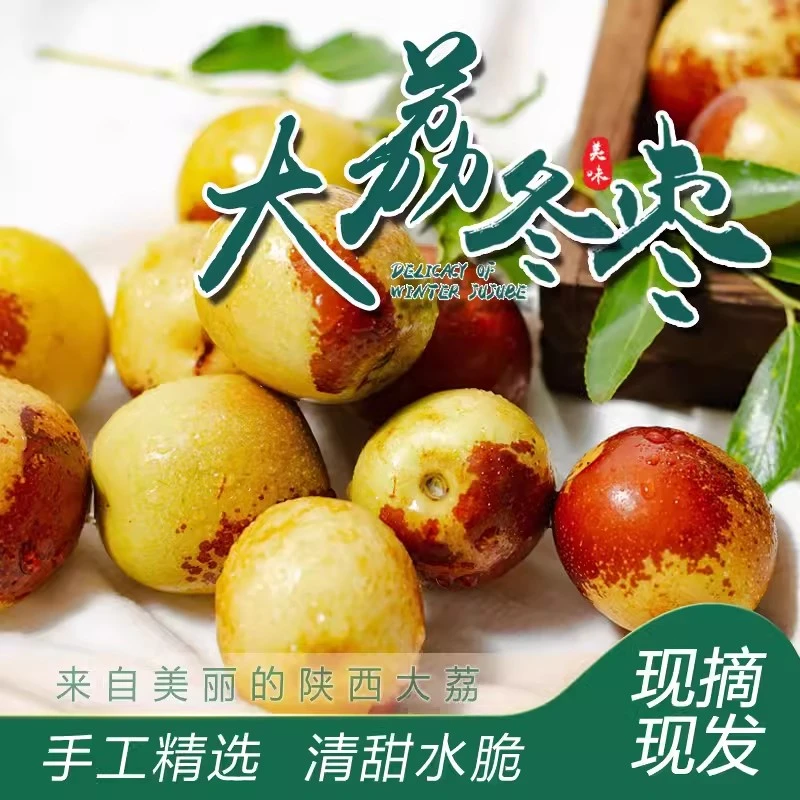 【粉丝专享】陕西大荔冬枣新鲜脆甜鲜枣2/3/5斤/孕妇新鲜水果大枣子