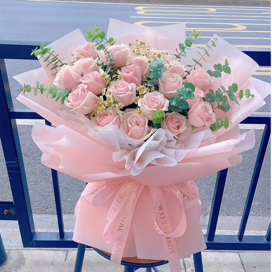 温柔的你，粉雪山玫瑰