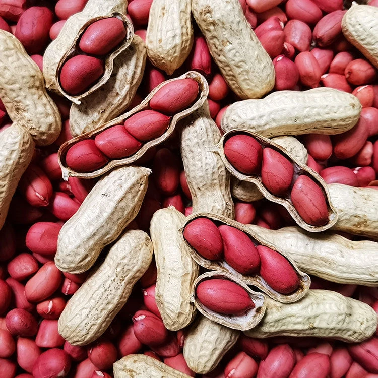 新鲜红皮花生去壳生花生米农家自种晒干原味花生农产品食用