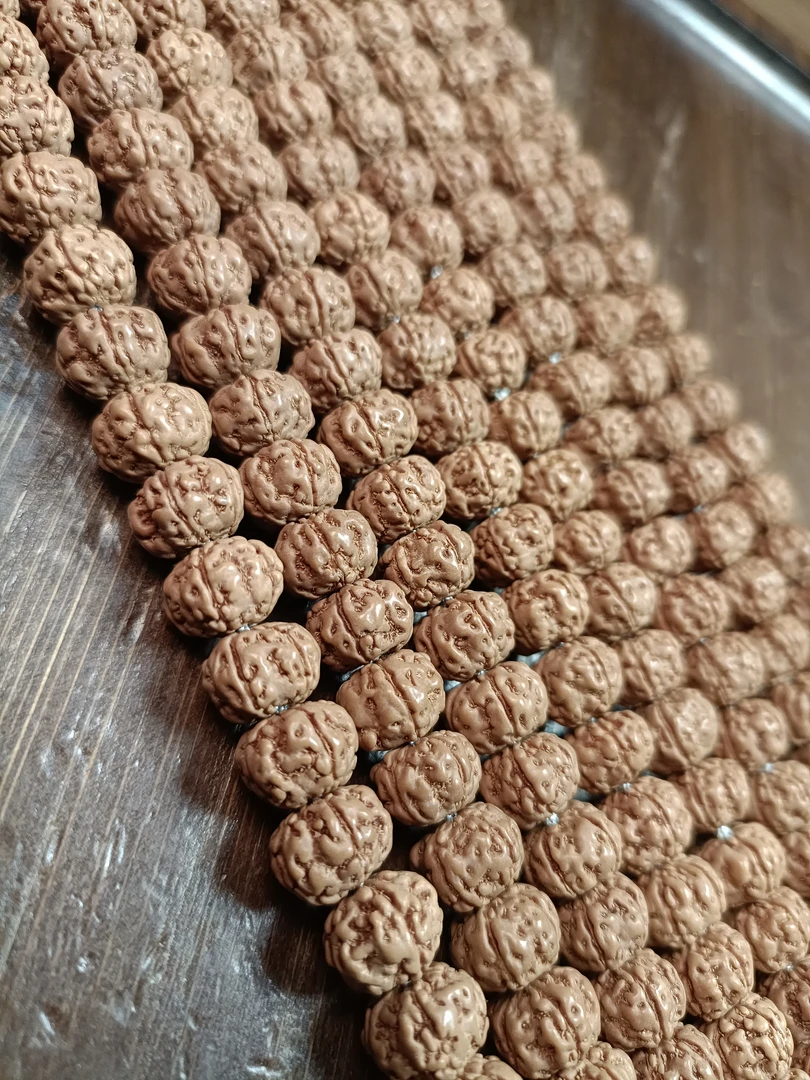 战神级560勿里达原皮五瓣树王&尺寸9--11+钢丝刷