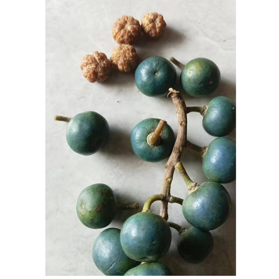 勿利达老树王战神级小金刚9-12mm- 直播间专用 以直播间为准612