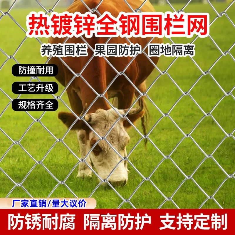 防锈镀锌铁丝网钢丝网户外围栏网家用养殖牛羊狗拦鸡网菜园勾花网