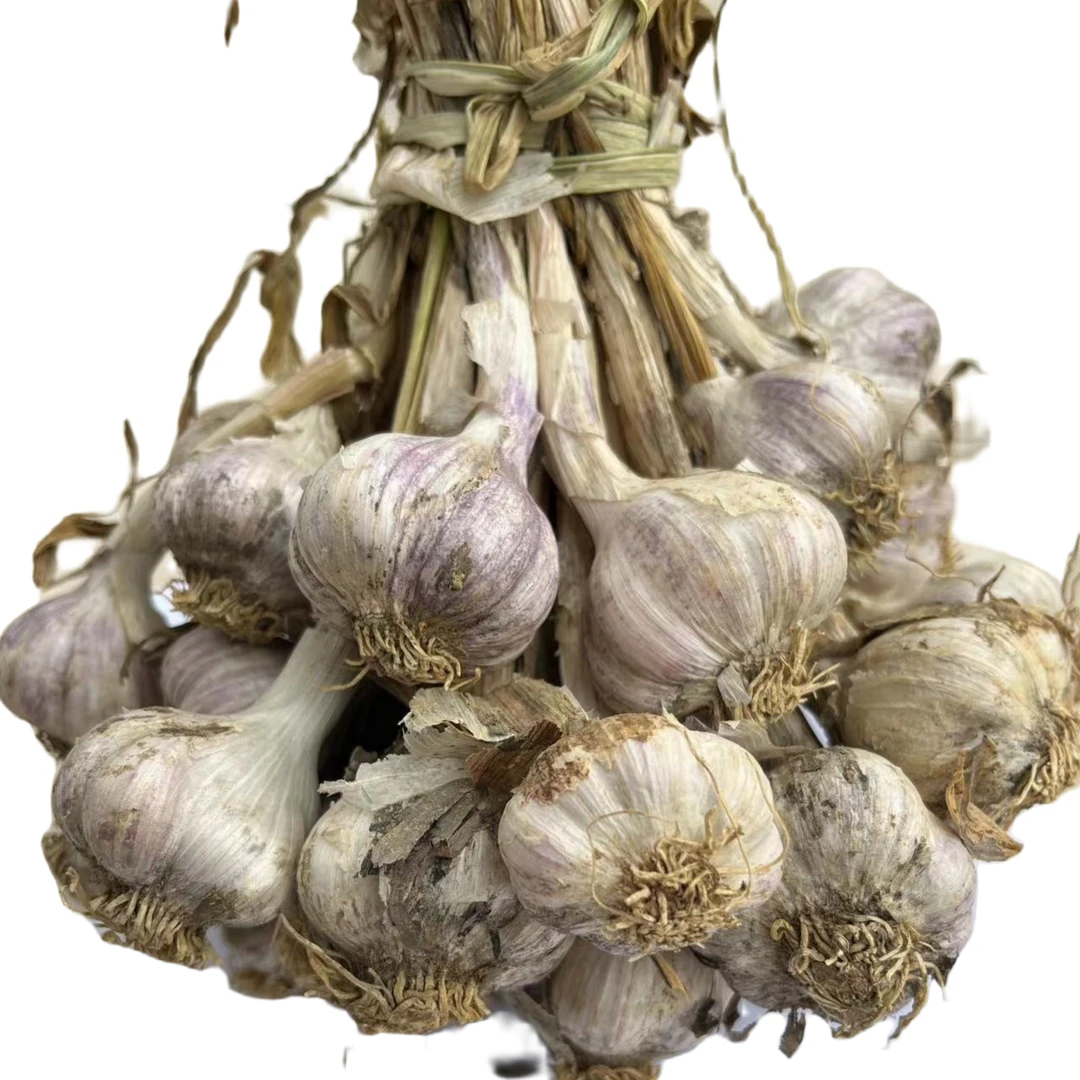 贵州本地大蒜带泥 纯纯的家乡味