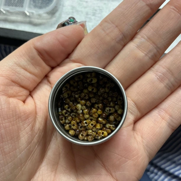 店铺满50包邮 新品做旧琥珀色花生美甲饰品