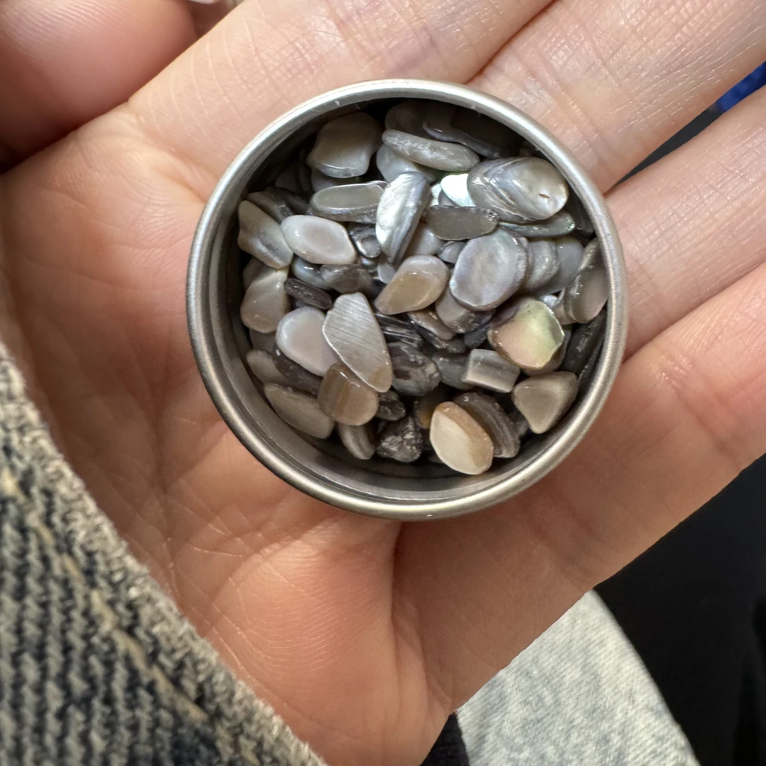 小众美甲时候 秋冬灰色贝壳石 豆角推荐