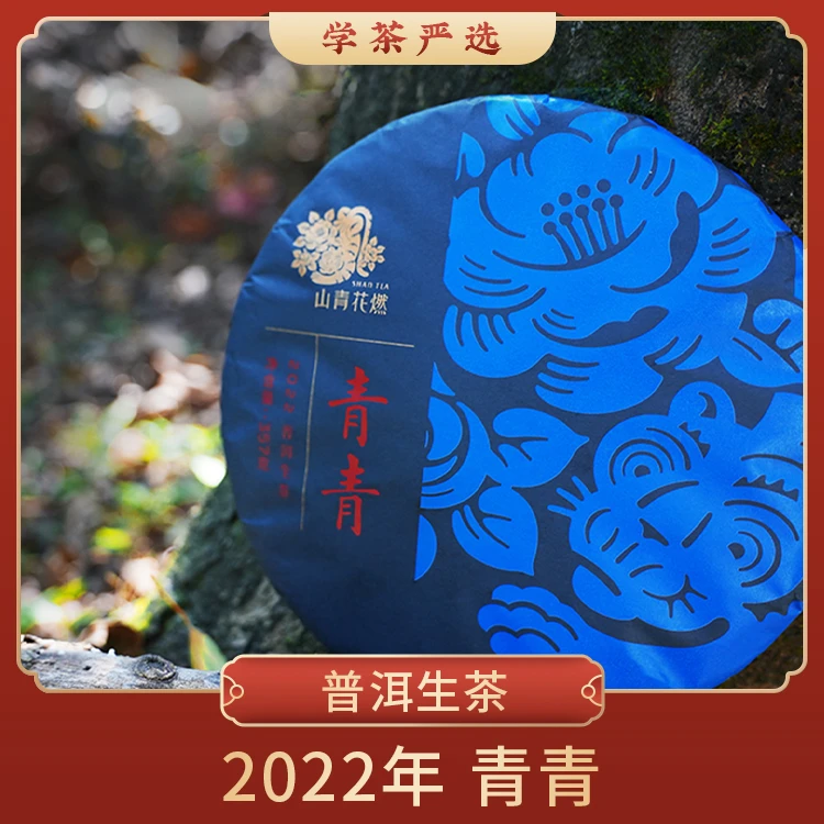 【学茶严选】2022年青青357克- 普洱生茶易武风味的高起点入门款