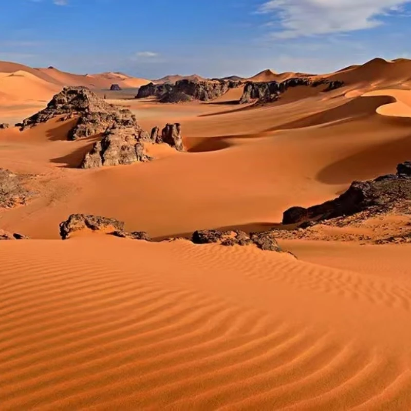 阿拉善原石 戈壁石 奇石 泥石 把玩石 办公室摆件