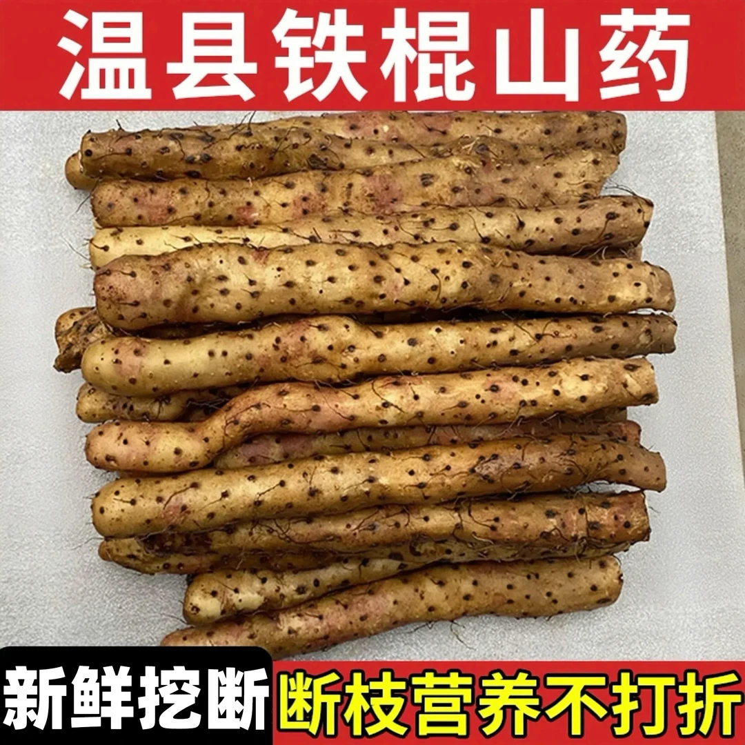 【断山药】原产地河南温县垆土铁棍怀山药新鲜挖断香甜粉糯营养健康