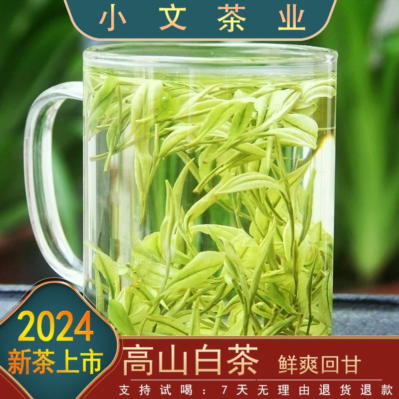 【浓香耐泡】2024高山白茶~B2 鲜爽回甘 品质推荐