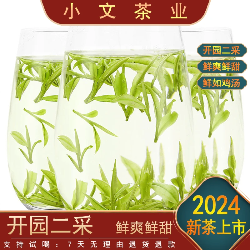 2024核心产地小芽头 ---A6差价 新茶上市 原产地