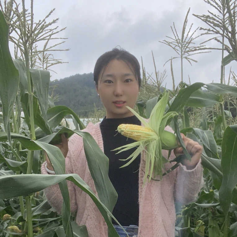 云南新鲜现摘水果玉米，脆嫩多汁   生吃当水果  熟吃当粗粮