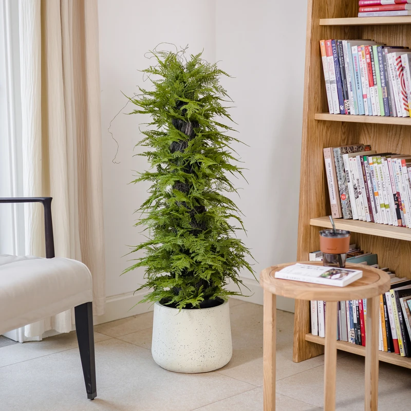 仿真香冠柏小香松盆栽植物圣诞树盆景仿生绿植办公室香柏香味