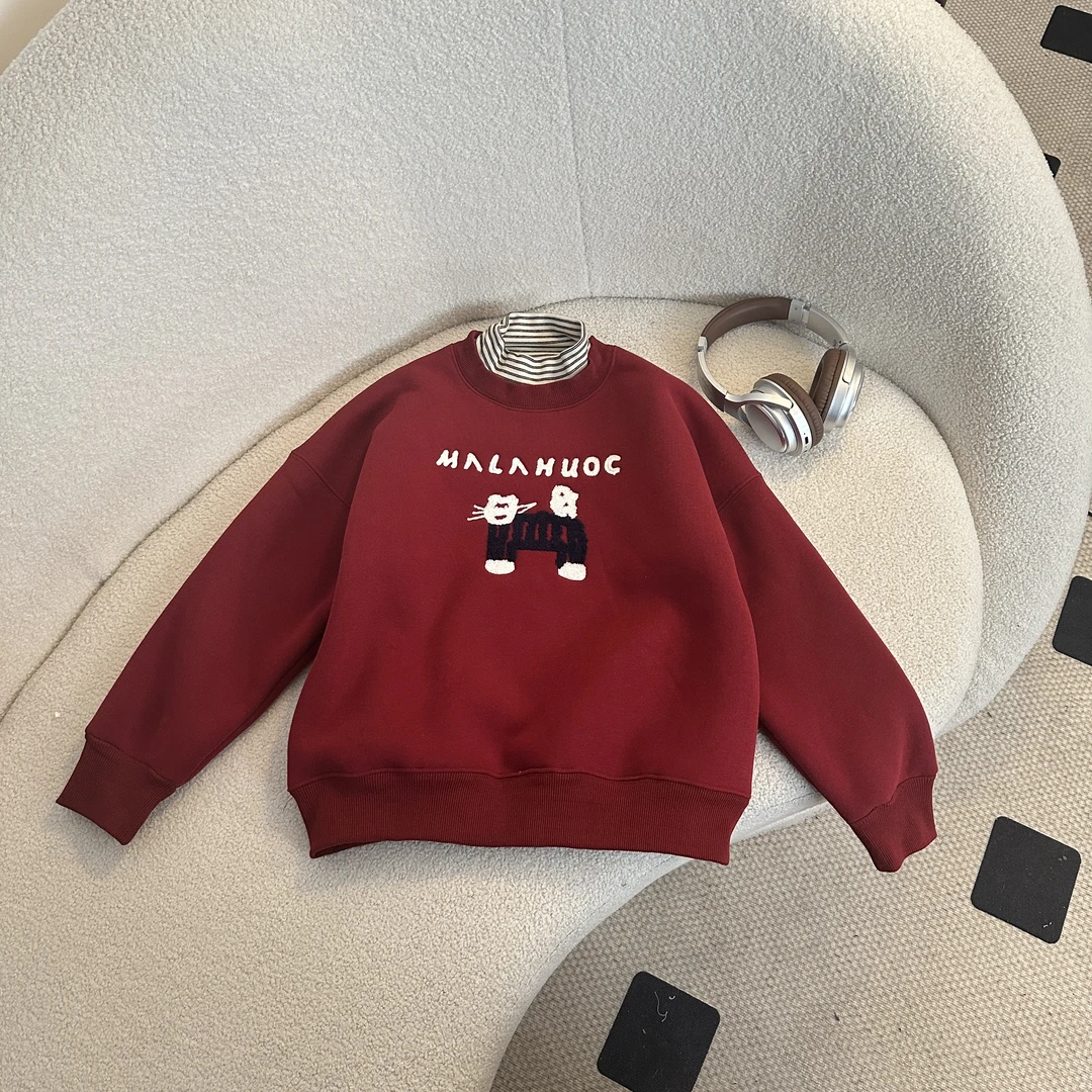 【2024冬季新品】青少年冬季休闲百搭高领加绒加厚卡通卫衣HWD098