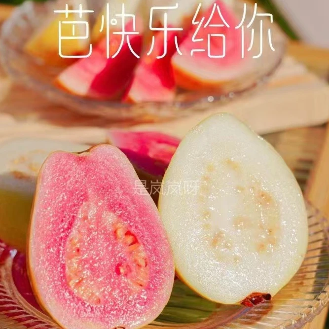 台湾芭乐  全城配送